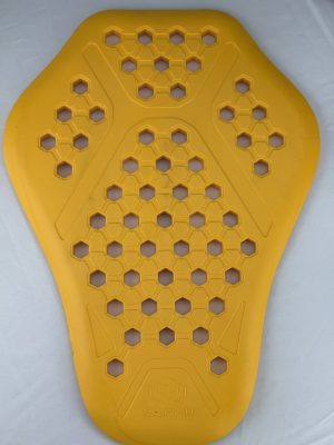 Pad Protection pour Dos
